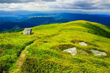 yamaca beyaz taşlar
