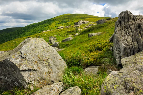 Камені на схилі пагорба — стокове фото