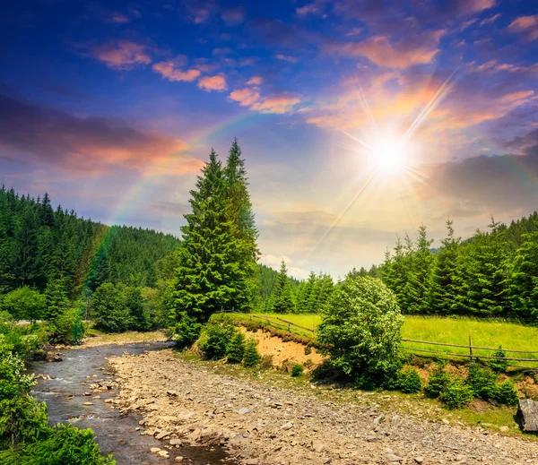 Vilda berg-floden nära skogen vid solnedgången — Stockfoto