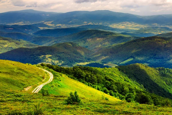 Ladera de montaña con bosque en verano — Foto de Stock