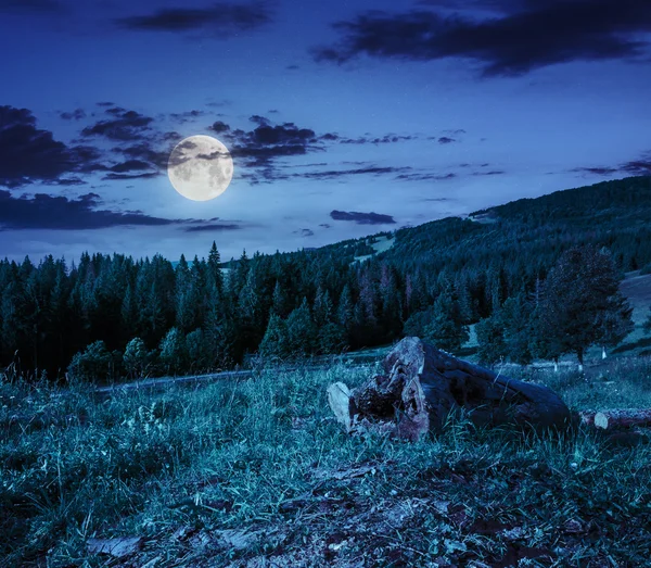 Log on a hillside near the  forests at night — Stock Photo, Image