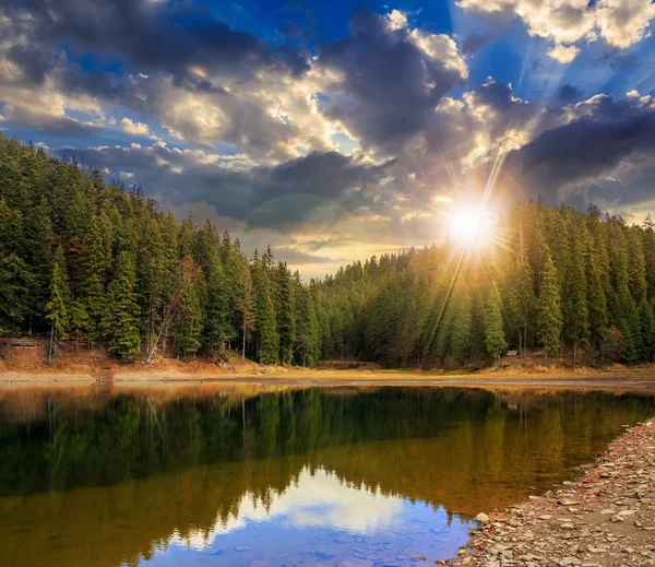 Lago cristalino cerca del bosque de pinos en las montañas al atardecer — Foto de Stock