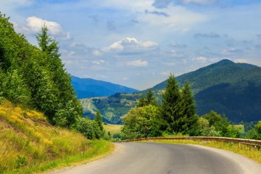 Orman dağlarında olacak