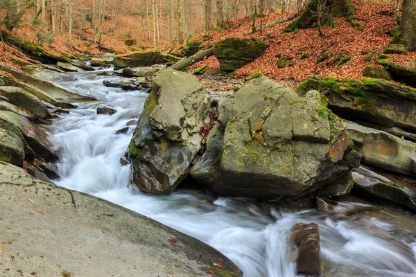 Forest river with stones and moss — Stock Photo, Image