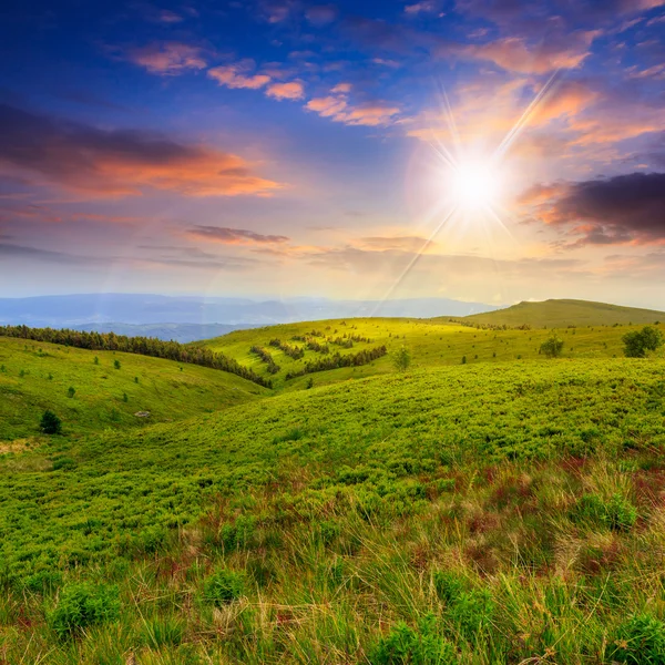 Luz na encosta da montanha com a floresta ao pôr do sol — Fotografia de Stock