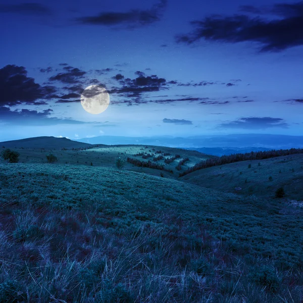 Işık gece orman ile dağ yamacında — Stok fotoğraf