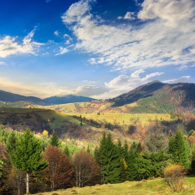 dağ orman ile hillside çayır Köyü