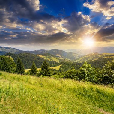 gün batımında dağlarda valley yakınındaki çam ağaçları