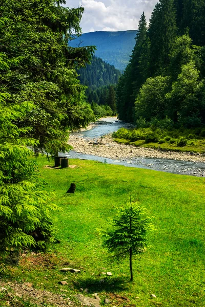 Rio de montanha selvagem no verão — Fotografia de Stock