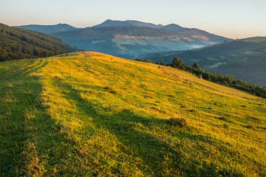 Çift haystacks ve ağaçlar Mountain