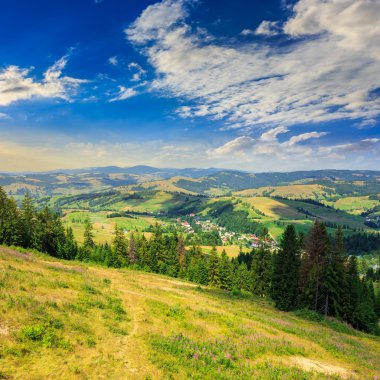 çam ağaçlarının yakınındaki dağlarda Vadisi