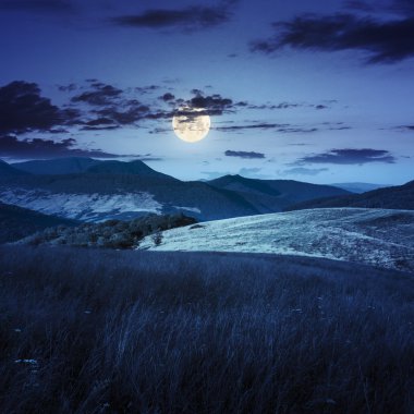 ağaçların geceleri dağlarda valley yakınındaki