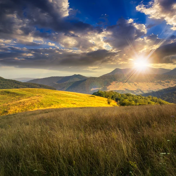 Stromy poblíž údolí v horách při západu slunce — Stock fotografie