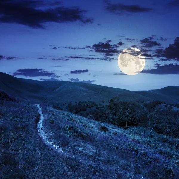 Летние прогулки в высокогорье ночью — стоковое фото