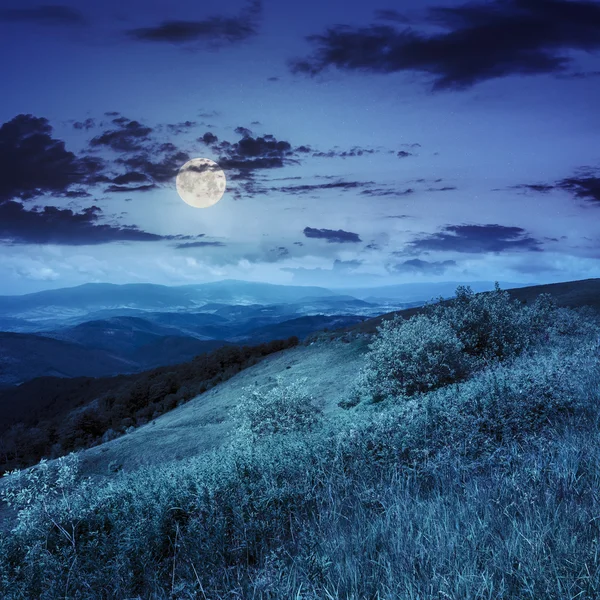 Luz na encosta da montanha com floresta à noite — Fotografia de Stock