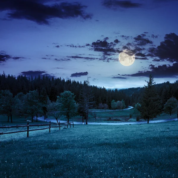 Fence on meadow near forest at night — Stock Photo, Image