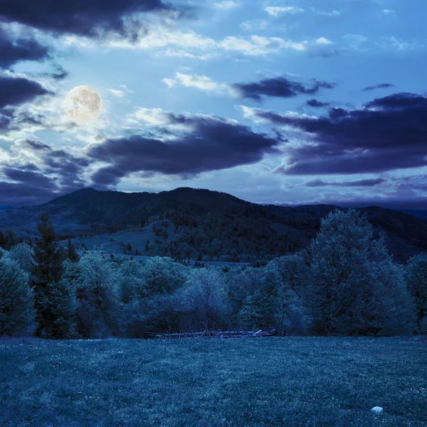 Árvores perto do vale nas montanhas à noite — Fotografia de Stock