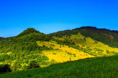 vadi yamaçlarında Dağları