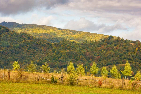 山上长满青草的草地 五彩缤纷的乡村风景 秋天长满了森林 多云天气 — 图库照片