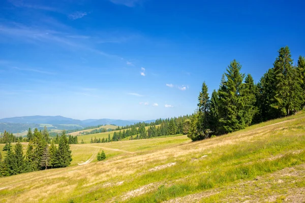 Árboles Colina Vista Lejano Valle Rural Cielo Azul Con Nubes — Foto de Stock