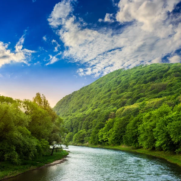 Berg-floden nära skogen — Stockfoto