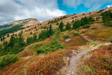 Noktalı ışıkta zirveye giden yol. Dağlarda güzel bir sonbahar manzarası yamaçta renkli çayırlar var. Tepenin üstündeki mavi gökyüzünde bulutlar