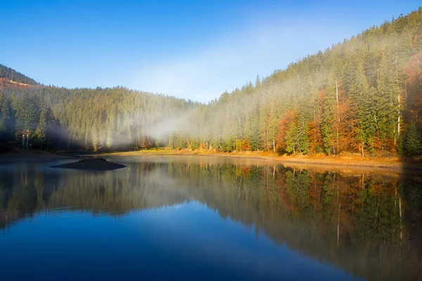 Morgenlandschap Bij Het Bergmeer Prachtig Herfstlandschap Met Mist Naaldbos Aan — Stockfoto