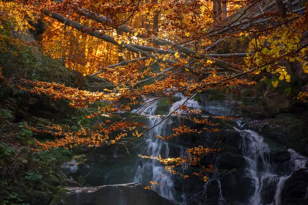 Shypot Wasserfall Zwischen Den Felsen Abendlicht Schöne Herbstliche Naturkulisse Wald — Stockfoto