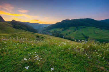 Gün doğumunda kırsal vadi manzarası. Çimenli tepeler, tarlalar ve çayırlarla dolu güzel Karpatlar doğası sabah güneşinde ormanlık tepeler arasında. Uzakta küçük bir köy