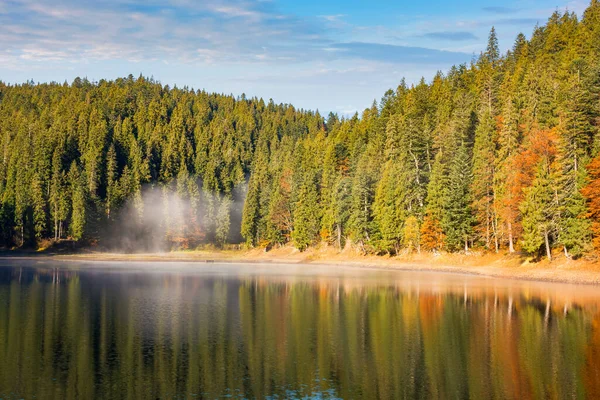 秋天的山清水秀 美丽的自然景观在早晨 海岸上的云杉森林Ukraine Synevyr国家公园 — 图库照片