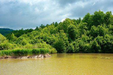 İlkbaharda dağ manzarası arasında göl. Sahilde ormanı olan güzel bir kır manzarası. Gökyüzündeki bulutlar