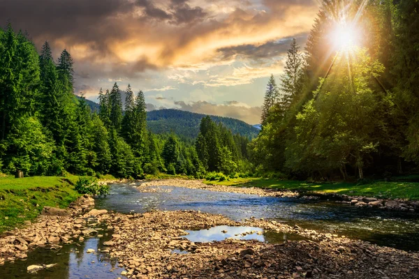 Sungai hutan dengan batu saat matahari terbenam — Stok Foto
