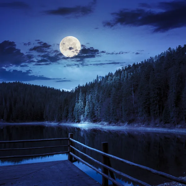 Çam ormanı ve göl kenarında gece dağ — Stok fotoğraf