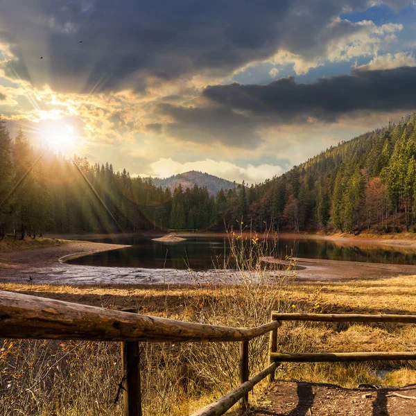 Borovice lesní a jezero poblíž hory při západu slunce — Stock fotografie