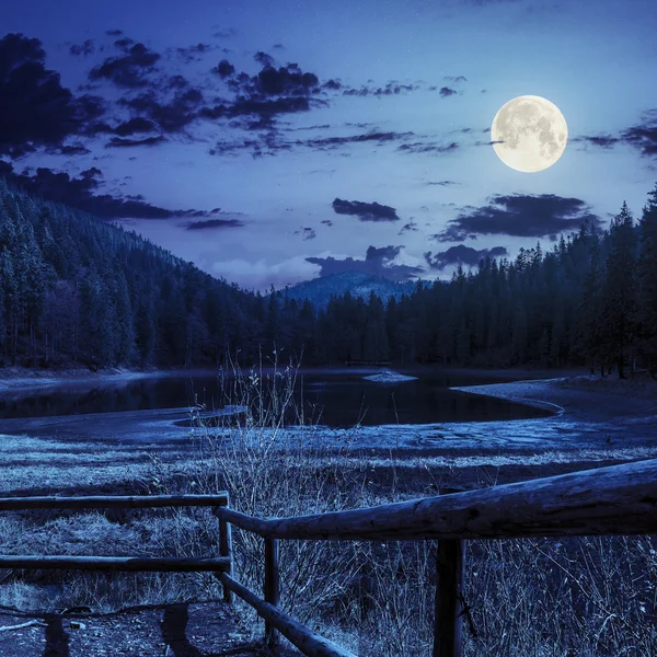 Sosnowego lasu i jeziora w pobliżu góra nocą — Zdjęcie stockowe