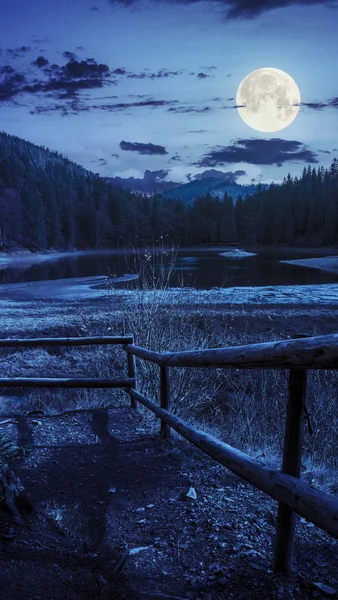 Pădure de pin și lac în apropierea muntelui noaptea — Fotografie, imagine de stoc