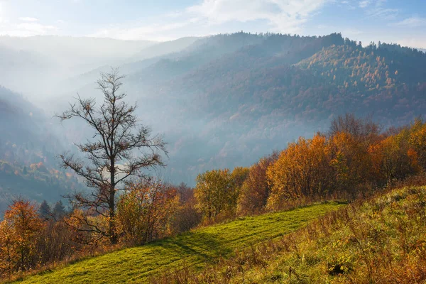 Hornatá Krajina Podzim Stromy Kopci Barevném Listí Krásná Přírodní Scenérie — Stock fotografie