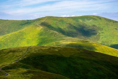 Borzhava dağlarının yuvarlanan tepeleri. Tepenin tepesinden geçen yol. Benekli ışıkta çimenli yamaçları olan güzel doğa manzarası. Güneşli bir günde Ukraynalı Karpatların muhteşem yaz manzarası