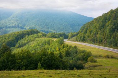 Bulutlu bir günde dağların arasından asfalt yol. harika kırsal alan sonbaharın başlarında