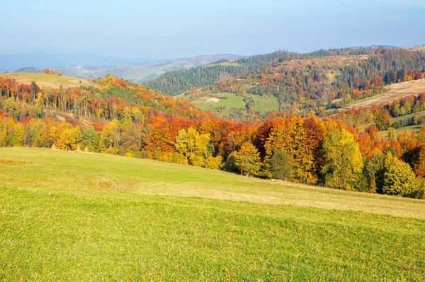 秋天的山野风景 草甸上五彩斑斓的树叶中的树木 群山滚向远方 在阳光灿烂的秋天 喀尔巴阡山脉的美丽环境 — 图库照片