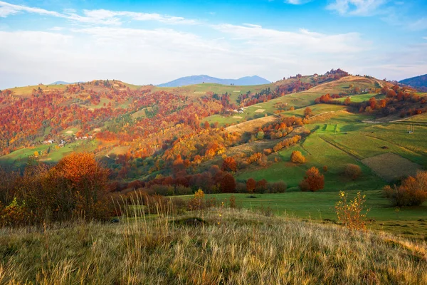 Morgen Ländliche Landschaft Der Herbstsaison Landschaft Mit Sanften Hügeln Grasbewachsenen — Stockfoto