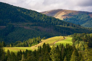 Sonbaharın başlarında dağ manzarası. Tepelerdeki ladin ormanı. Noktalı ışıkta harika bir doğa manzarası. Gökyüzündeki bulutlar 