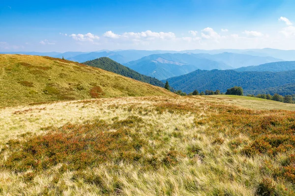 Grassy Meadows Carpathian Mountains Sunny Autumn Day Beautiful Landscape Polonyna — Stock Photo, Image