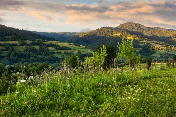 Pueblo en la ladera del prado con bosque en la montaña —  Fotos de Stock