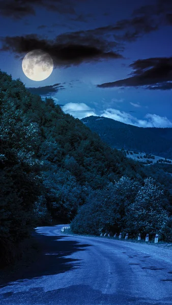 Andare in natura di notte — Foto Stock