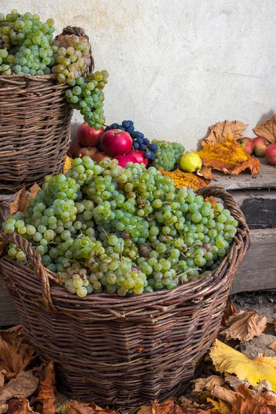 Осенний натюрморт с фруктами и листьями на деревянной базе — стоковое фото
