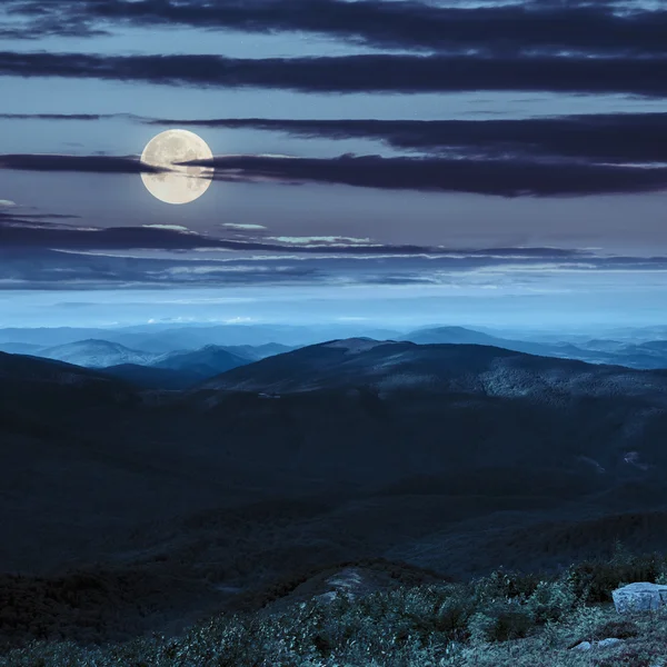 Pente montagneuse avec forêt la nuit — Photo