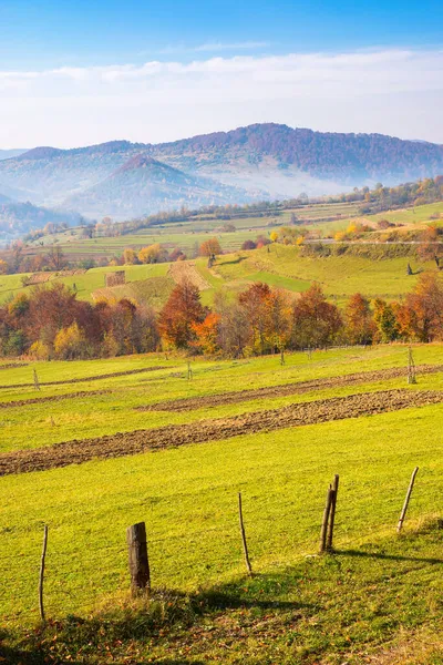 Árvores Folhagem Colorida Nos Campos Rurais Bela Paisagem Rural Com — Fotografia de Stock