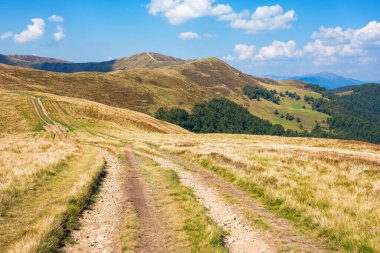 Dağın yamacını saran turist yolu. Sonbaharın başlarında güneşli bir günde çimenli alp çayırlarıyla karpatya manzarası