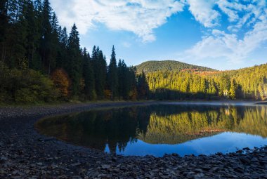 Dağ gölündeki sabah manzarası. Sis ile güzel sonbahar manzarası. Kıyıdaki kozalaklı orman. Synevyr Ulusal Parkı, Ukrayna